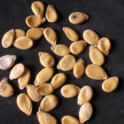 PISTACHES EGUSI ENTIER 20KG