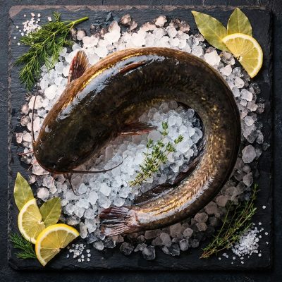 Poisson-chat (Catfish) surgelé — Carton 4 kg (PRO)