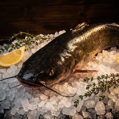 Poisson-chat entier surgelé — Carton 4 kg