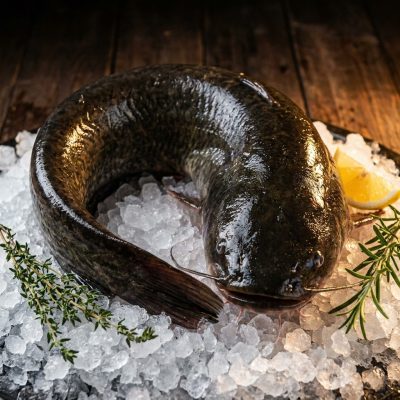 Poisson-chat (Catfish) entier surgelé — Carton 4 kg (PRO)
