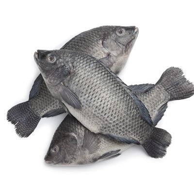 Tilapia gris — 1 kg