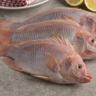 Tilapia rouge — 1 kg