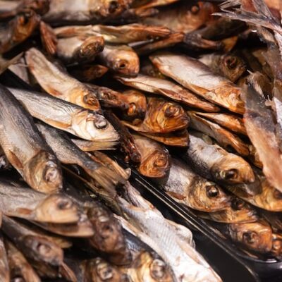 BONGA FISH
