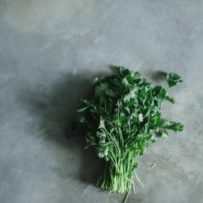 UGU LEAVES