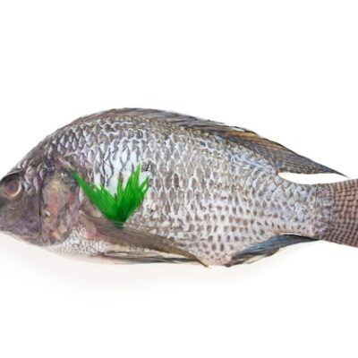 ANNY Sardine à l'huile pimentée 50x30G